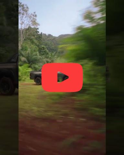 Lose yourself in the wild.​