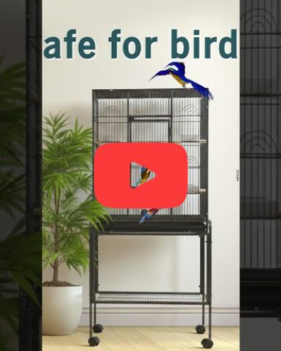 Give your feathered friends the space and comfort