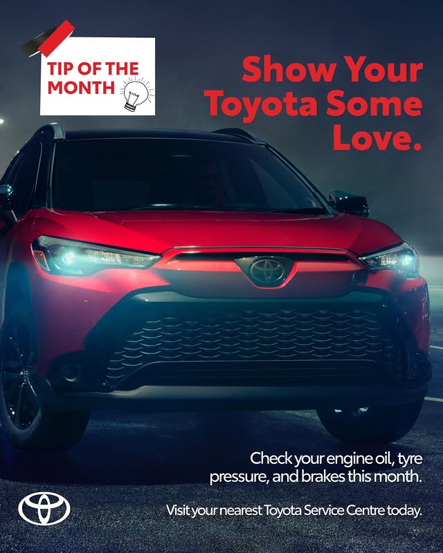 Checking your engine oil, tyre pressure, and brake condition