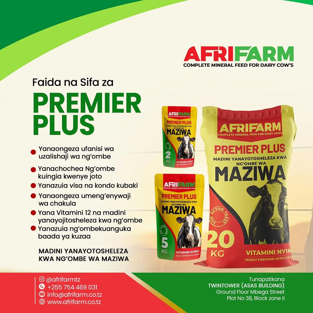 Ongeza uzalishaji wa maziwa na Premier Plus