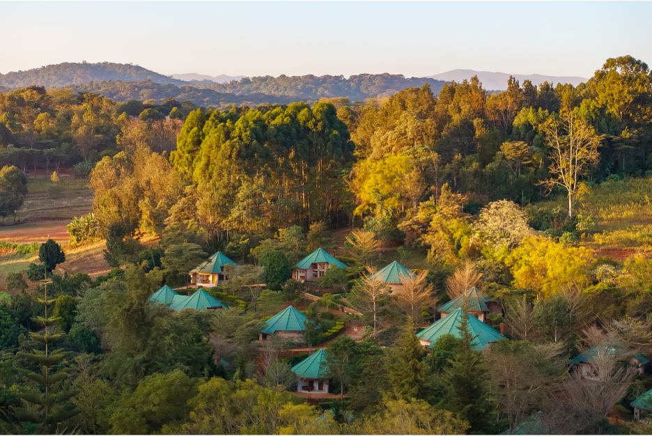 Escape to the peaceful beauty of Turaco Ngorongoro Valley