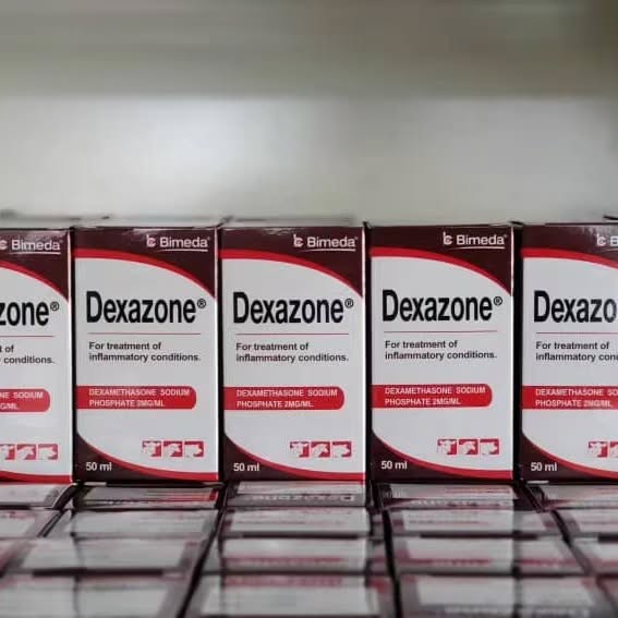 Dexazone – Effective Relief for Inflammatory Conditions
