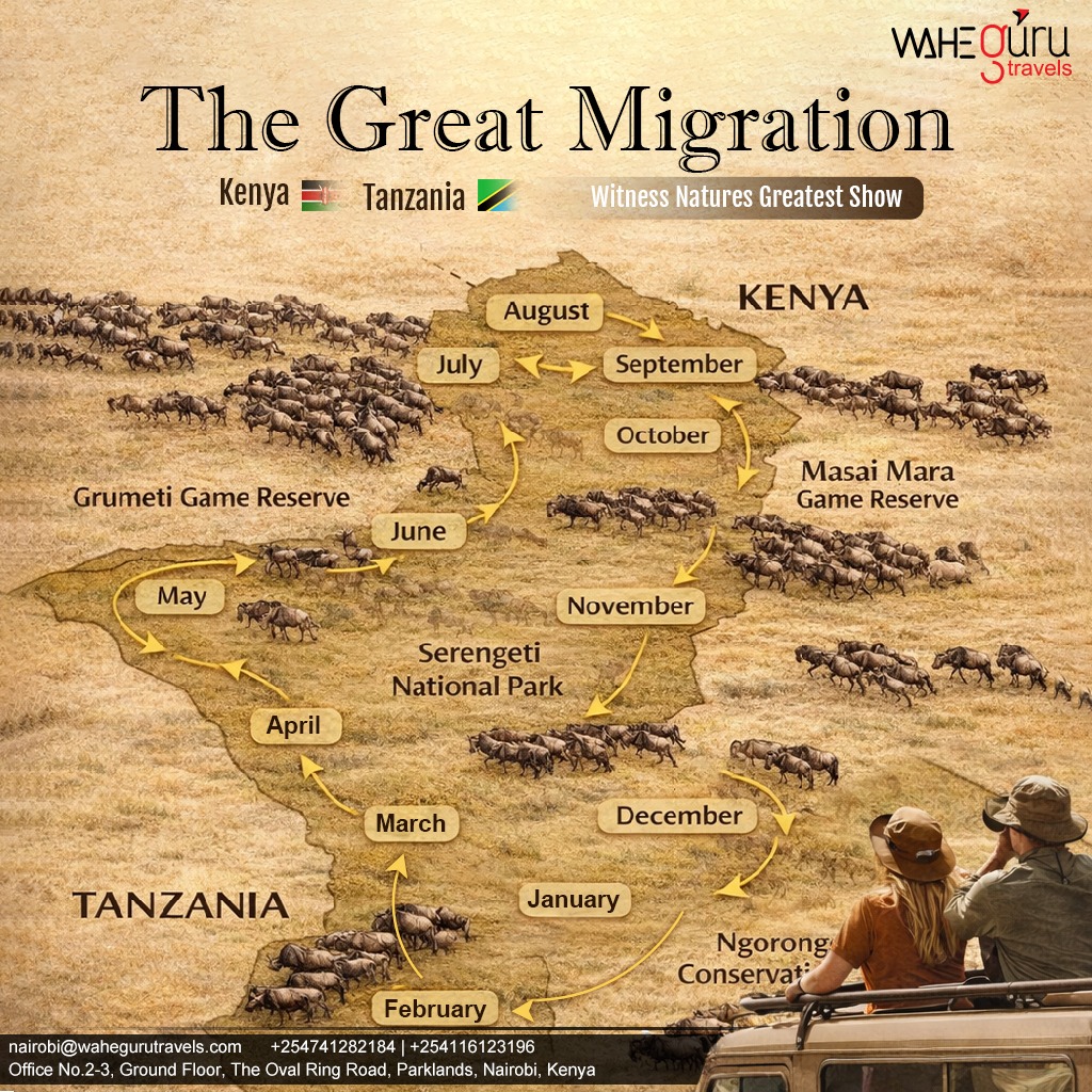 Witness the Great Migration