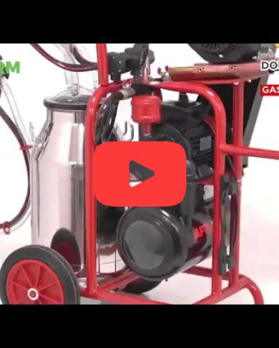 Double milking machine - gasoline engine