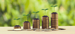 Capital Gain Tax