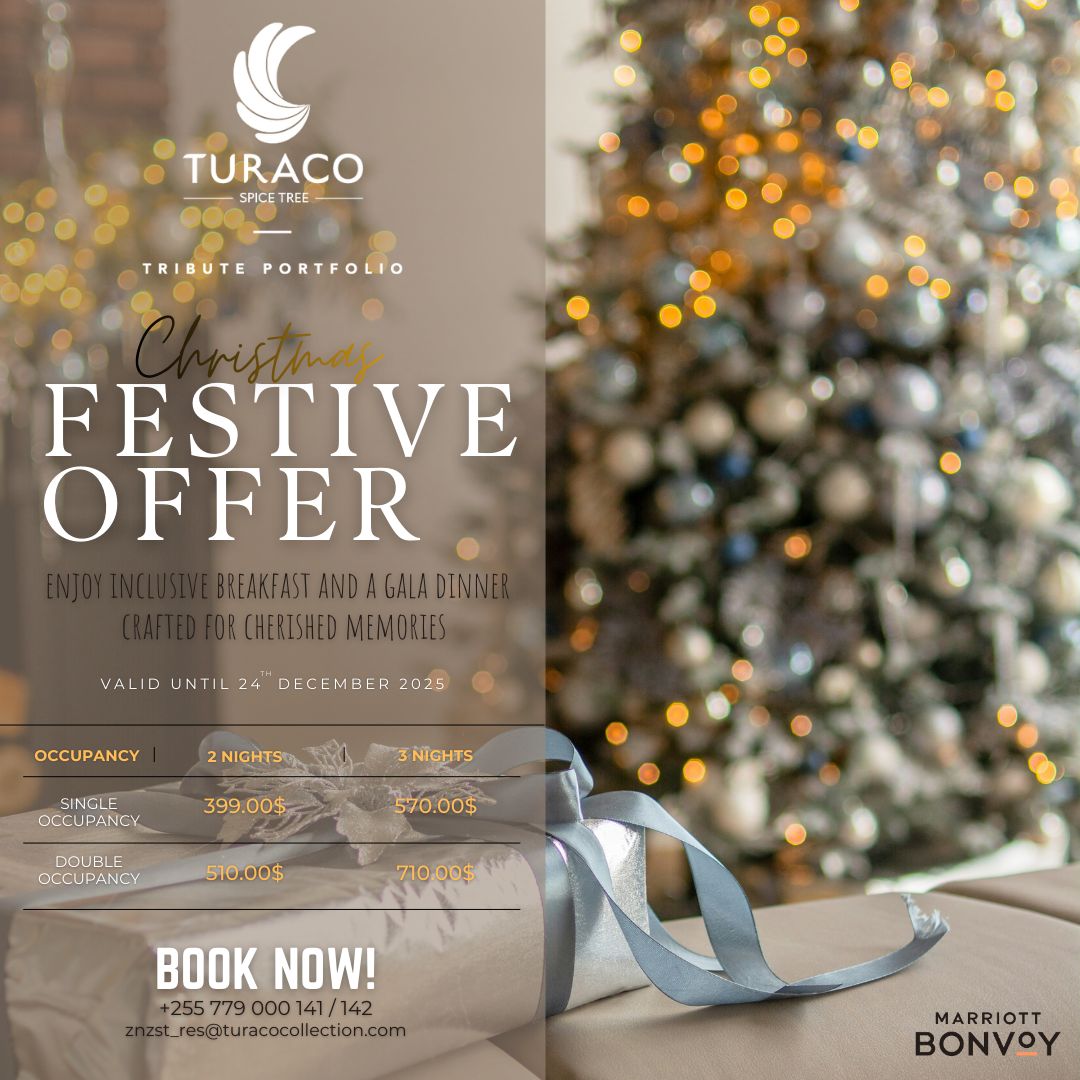 Christmas Festive Offer