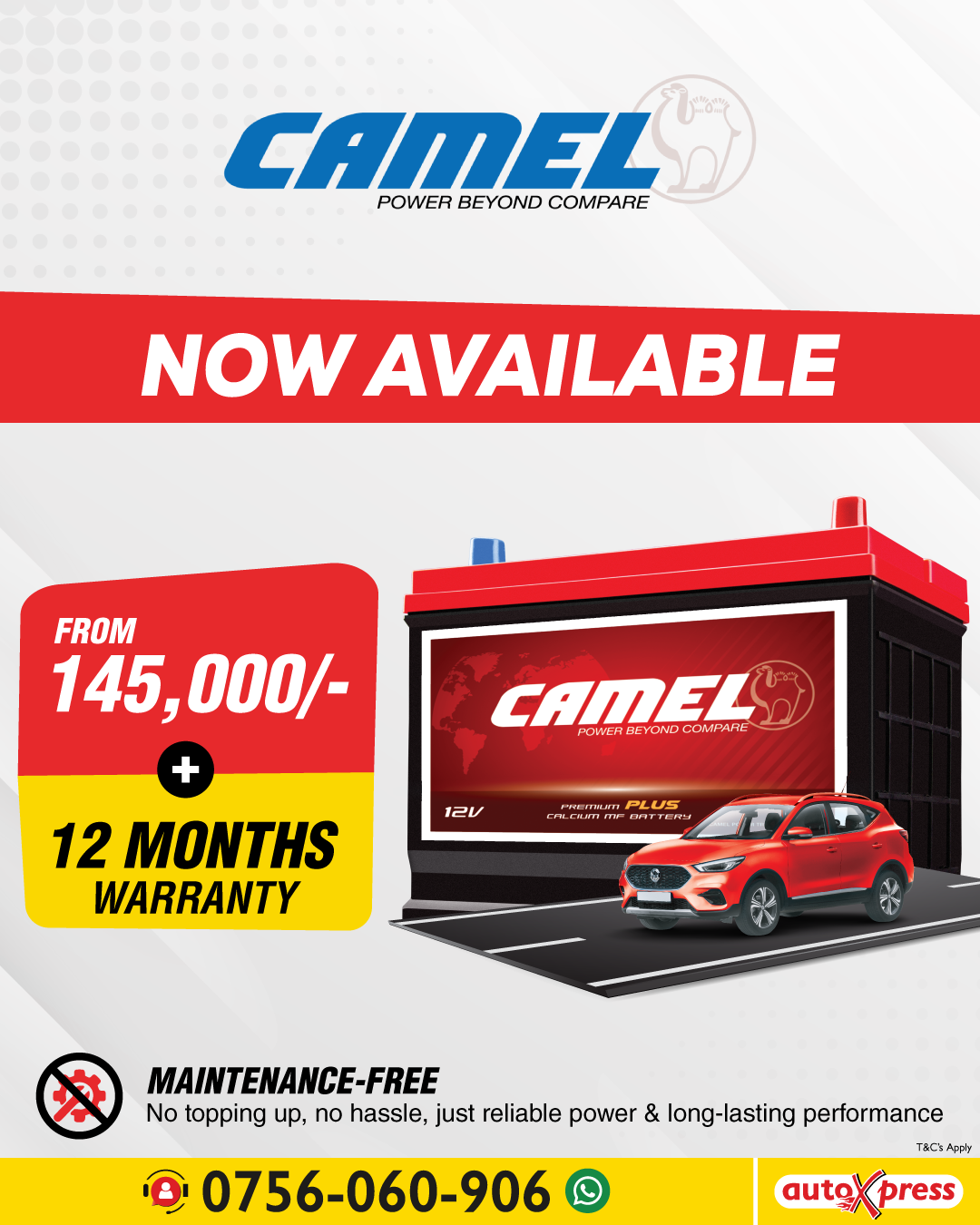 Camel Battery – Now Available