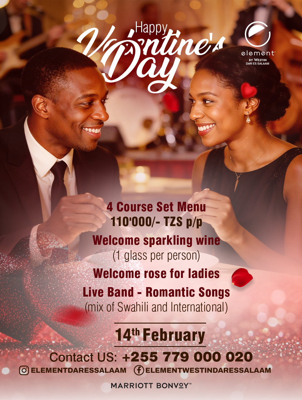 Valentine's Day Dinner