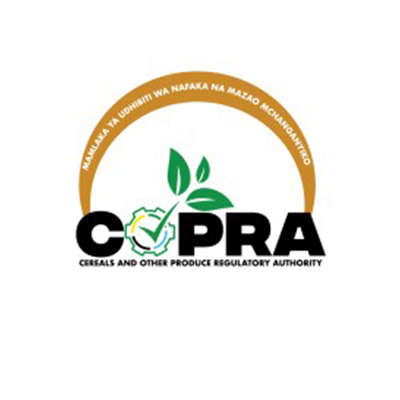 Supply Of Avocado Seedlings