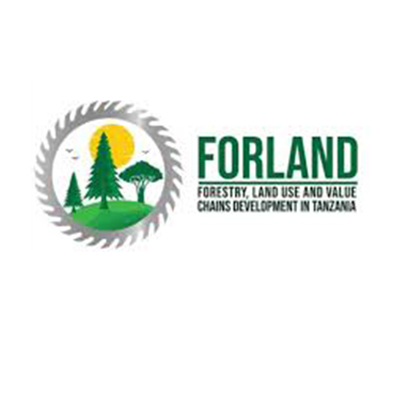 Consultancy: Unlocking Veneer Market 