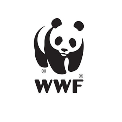 Construction of Fish Market