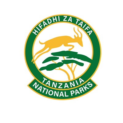 Construction of park infrastructures