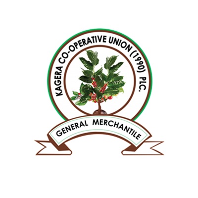 Development of information system